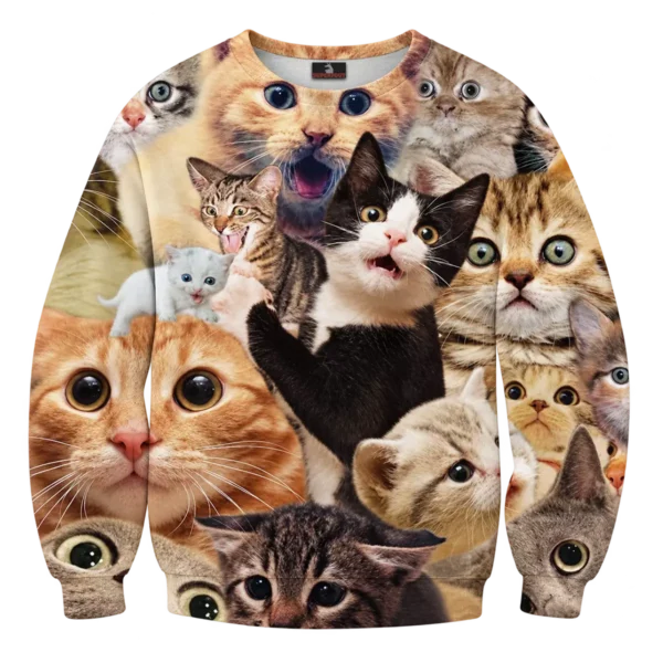 De ultieme kattentrui